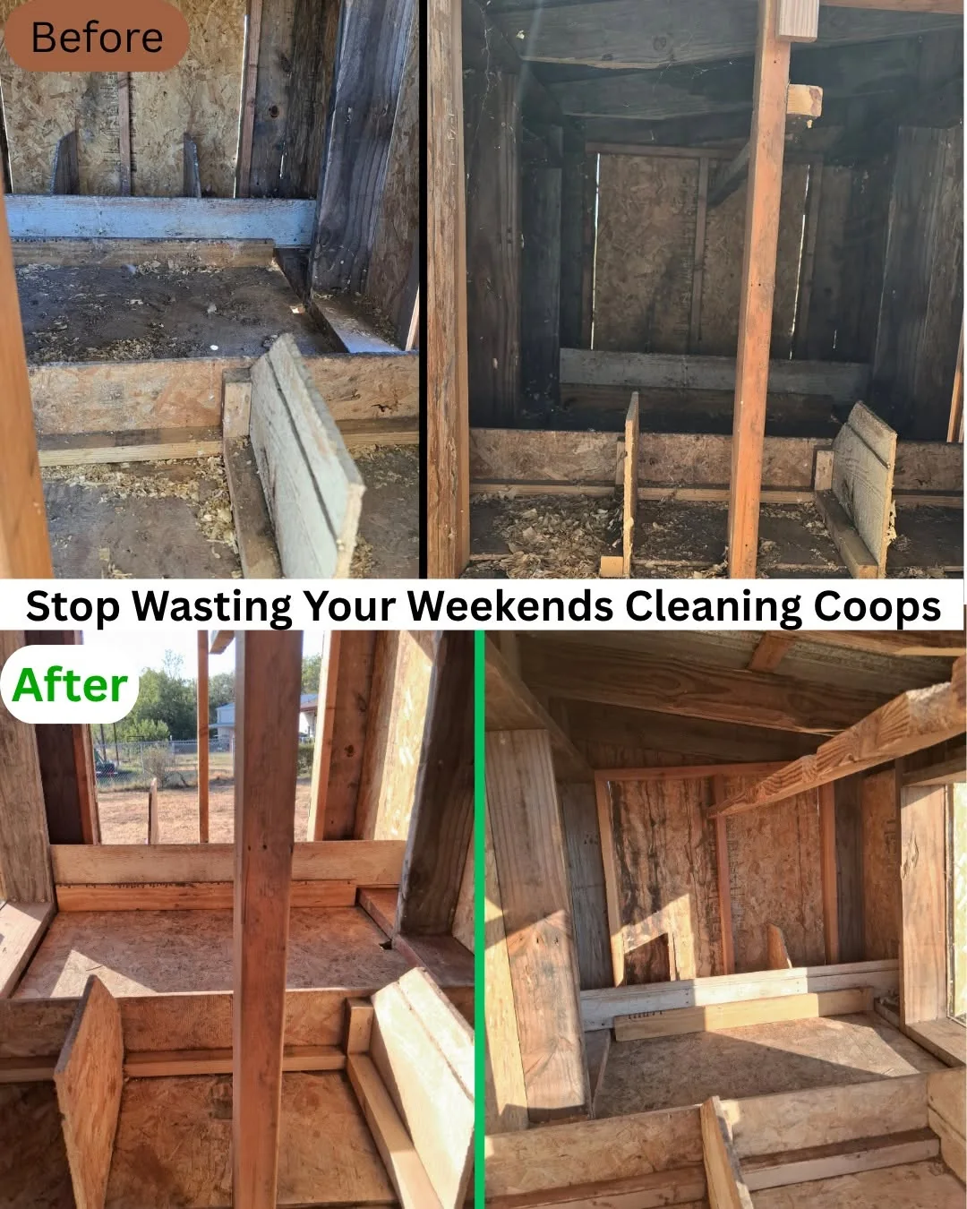 Coop before and after