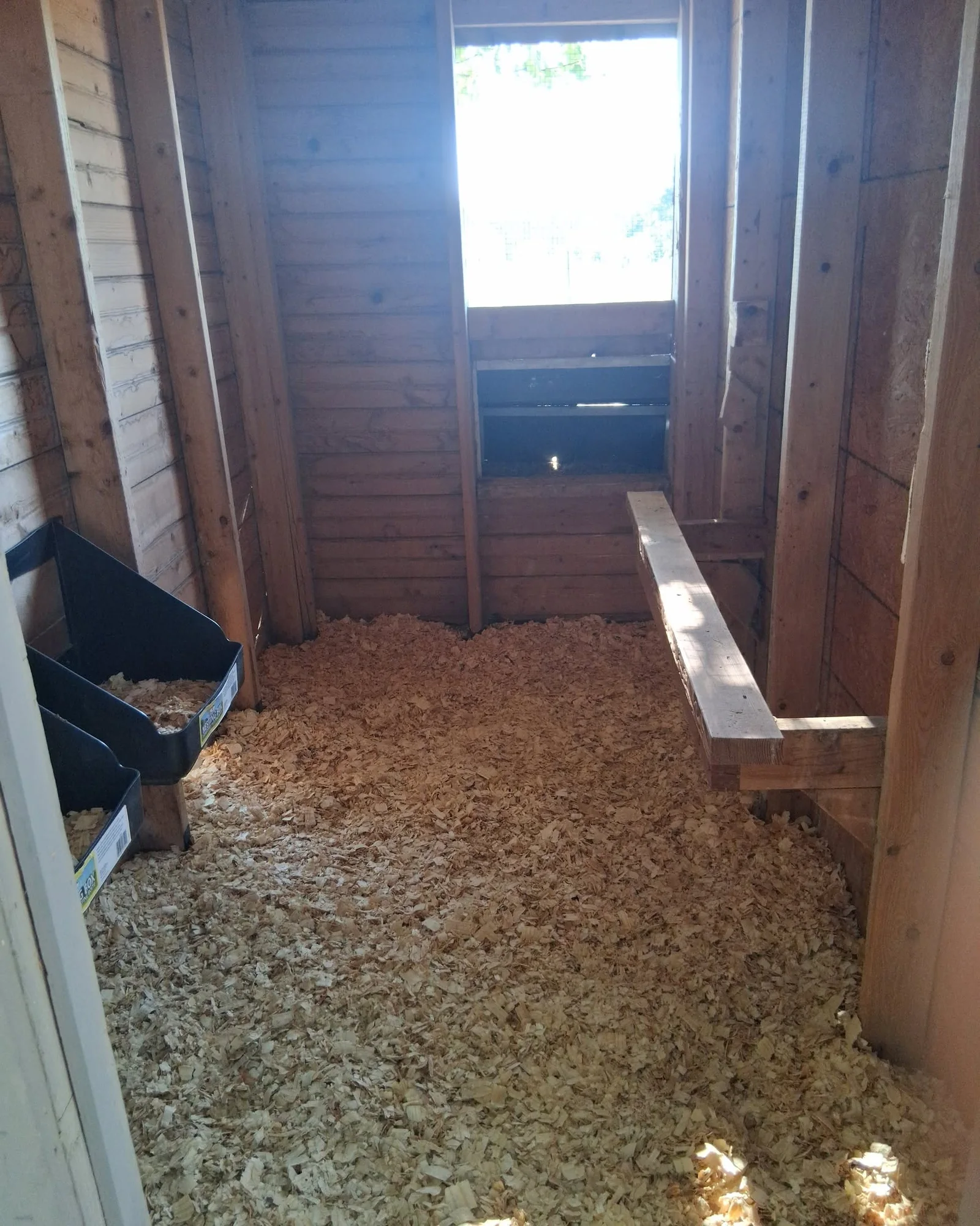 Clean coop